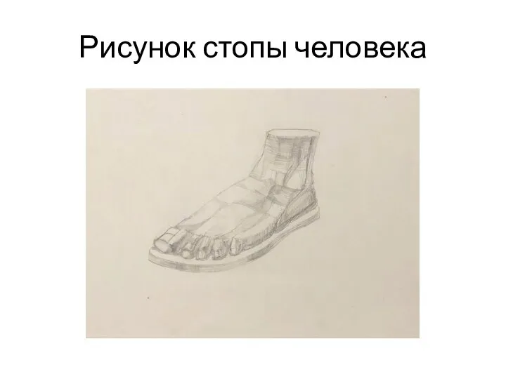 Рисунок стопы человека