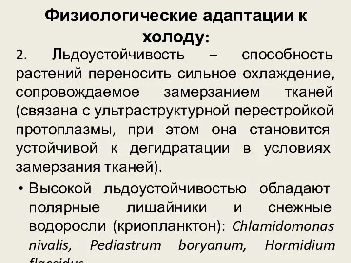 Физиологические адаптации к холоду: 2. Льдоустойчивость – способность растений переносить сильное охлаждение,