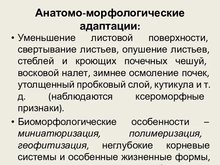 Анатомо-морфологические адаптации: Уменьшение листовой поверхности, свертывание листьев, опушение листьев, стеблей и кроющих