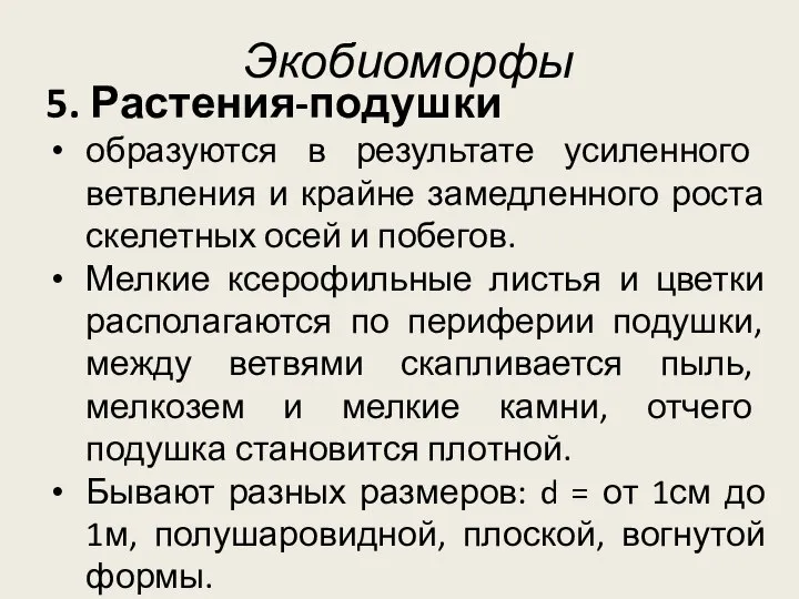 Экобиоморфы 5. Растения-подушки образуются в результате усиленного ветвления и крайне замедленного роста