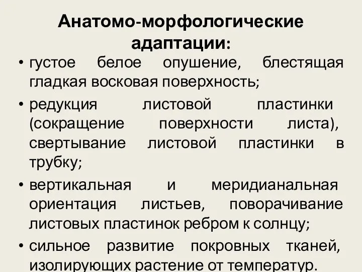 Анатомо-морфологические адаптации: густое белое опушение, блестящая гладкая восковая поверхность; редукция листовой пластинки