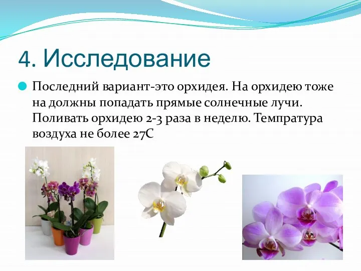 4. Исследование Последний вариант-это орхидея. На орхидею тоже на должны попадать прямые