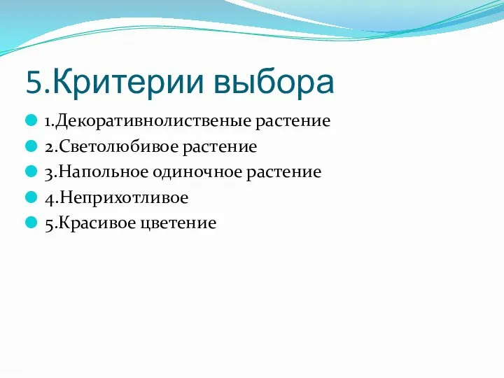 5.Критерии выбора 1.Декоративнолиственые растение 2.Светолюбивое растение 3.Напольное одиночное растение 4.Неприхотливое 5.Красивое цветение