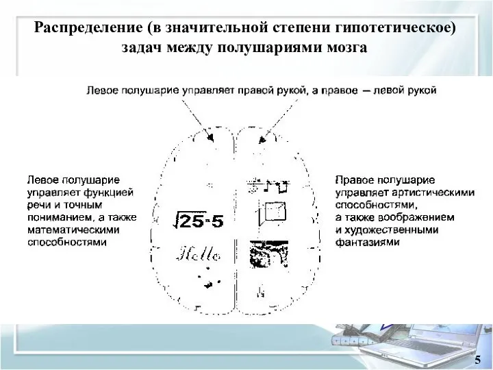 Содержание 5 Распределение (в значительной степени гипотетическое) задач между полушариями мозга