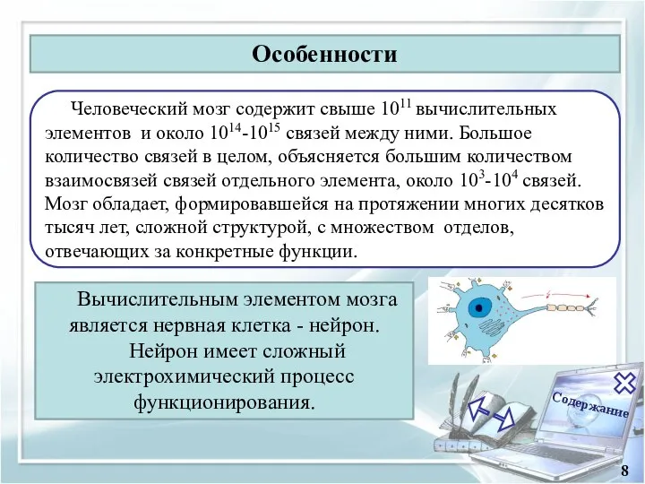 Содержание 8 Особенности Вычислительным элементом мозга является нервная клетка - нейрон. Нейрон