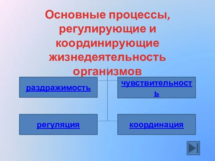 Основные процессы, регулирующие и координирующие жизнедеятельность организмов регуляция раздражимость координация чувствительность