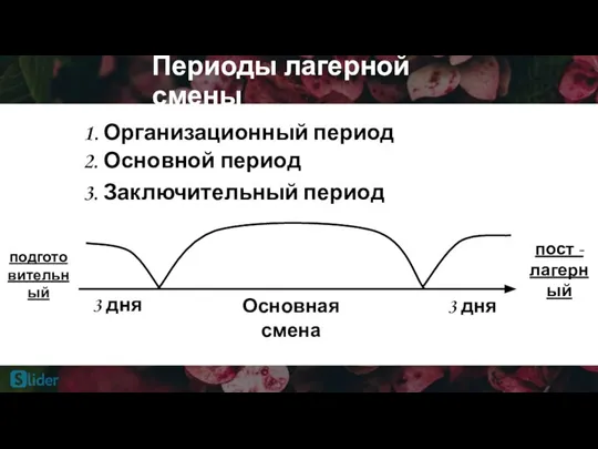 Периоды лагерной смены Основная смена 3 дня 3 дня 1. Организационный период