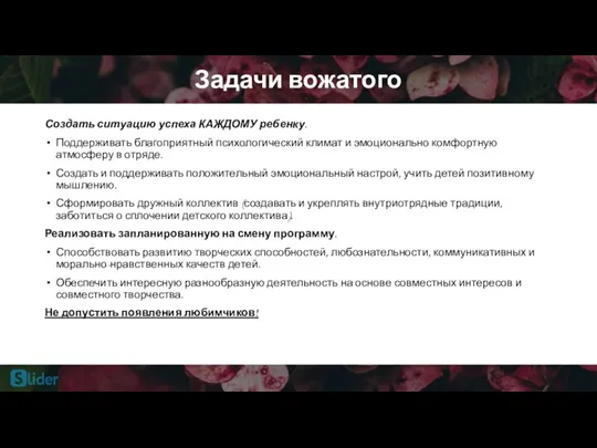 Задачи вожатого Создать ситуацию успеха КАЖДОМУ ребенку. Поддерживать благоприятный психологический климат и