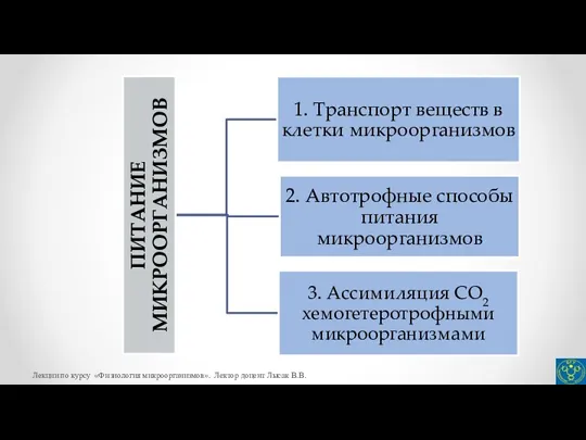 Лекции по курсу «Физиология микроорганизмов». Лектор доцент Лысак В.В.