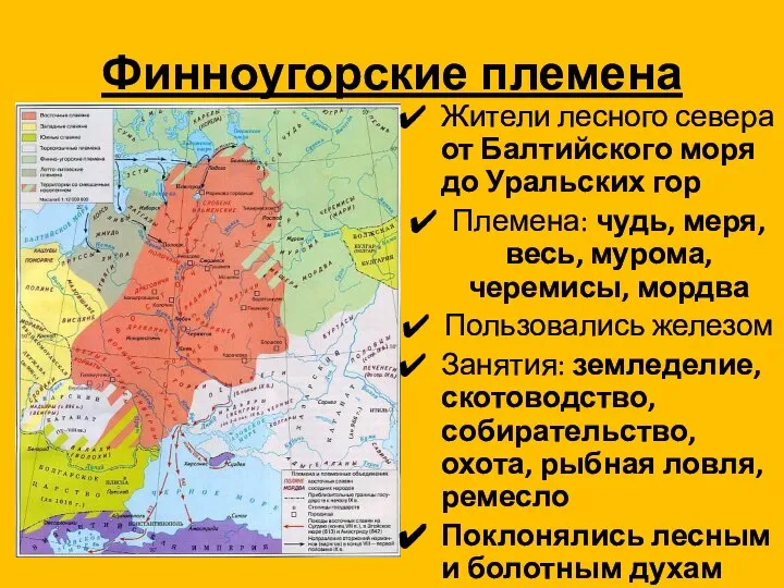 Финноугорские племена Жители лесного севера от Балтийского моря до Уральских гор Племена: