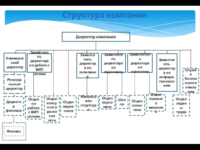 Структура компании Директор компании Коммерческий директор Региона льный директор Директор филиала Филиал