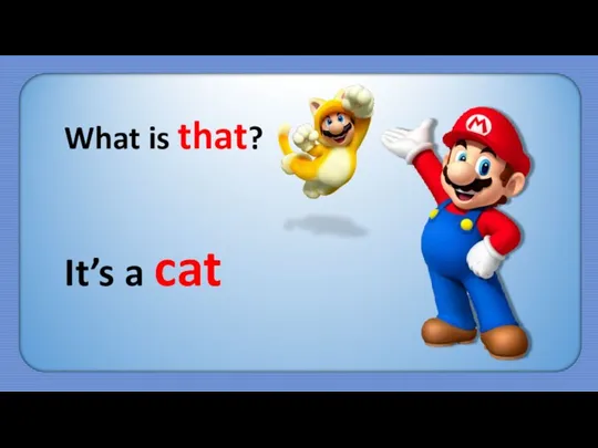 What is that? It’s a cat