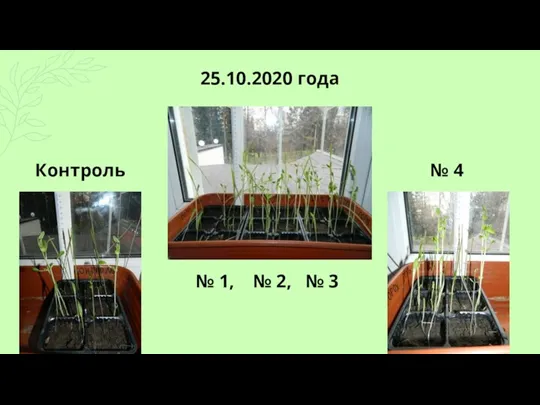 25.10.2020 года Контроль № 1, № 2, № 3 № 4