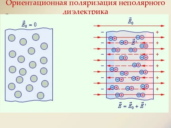 Электронный или упругий механизм проявляется при поляризации неполярных диэлектриков. Под действием электрического