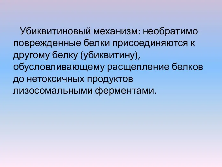 Убиквитиновый механизм: необратимо поврежденные белки присоединяются к другому белку (убиквитину), обусловливающему расщепление