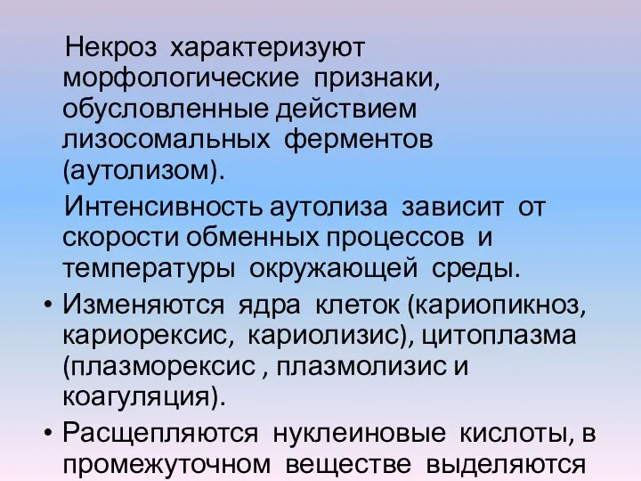 Некроз характеризуют морфологические признаки, обусловленные действием лизосомальных ферментов (аутолизом). Интенсивность аутолиза зависит