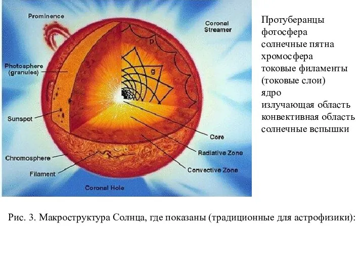 Рис. 3. Макроструктура Солнца, где показаны (традиционные для астрофизики): Протуберанцы фотосфера солнечные