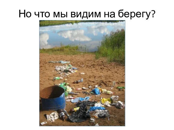 Но что мы видим на берегу?