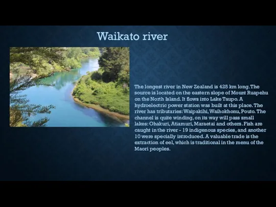 Waikato river The longest river in New Zealand is 425 km long.