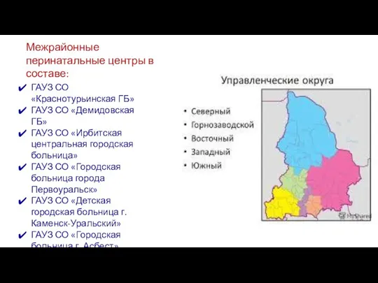 Межрайонные перинатальные центры в составе: ГАУЗ СО «Краснотурьинская ГБ» ГАУЗ СО «Демидовская