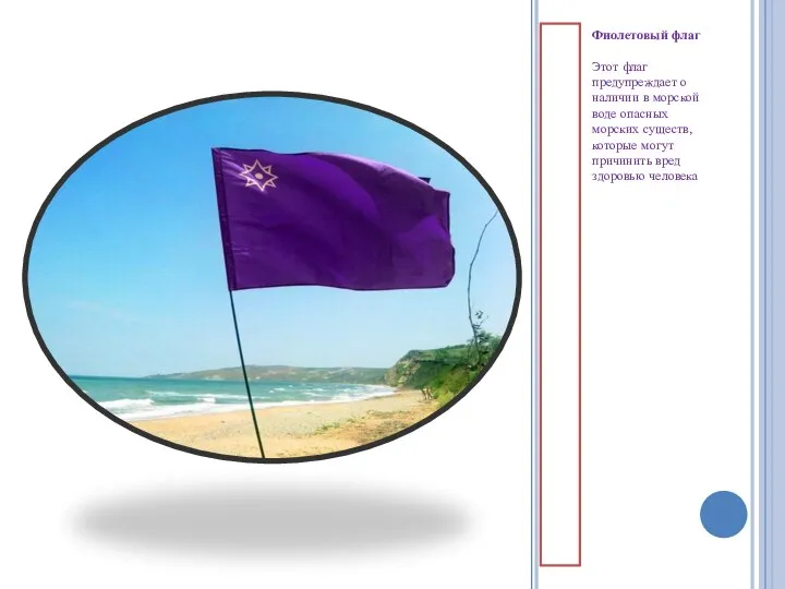 Фиолетовый флаг Этот флаг предупреждает о наличии в морской воде опасных морских