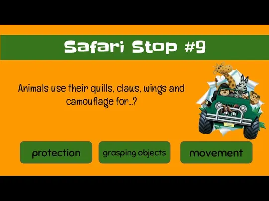 protection grasping objects movement Safari Stop #9 Animals use their quills, claws, wings and camouflage for...?