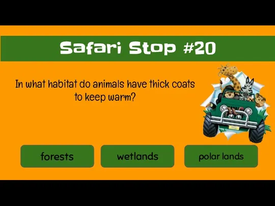 forests wetlands polar lands Safari Stop #20 In what habitat do animals