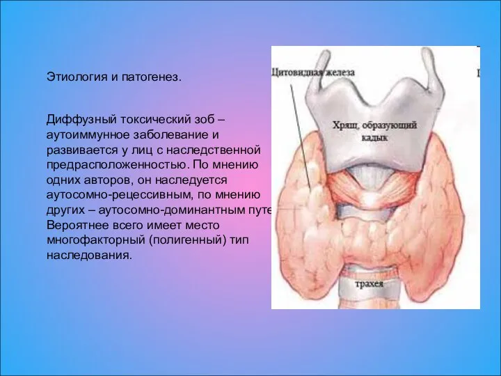 Этиология и патогенез. Диффузный токсический зоб – аутоиммунное заболевание и развивается у