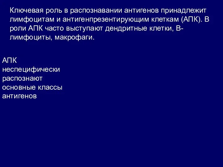 Ключевая роль в распознавании антигенов принадлежит лимфоцитам и антигенпрезентирующим клеткам (АПК). В