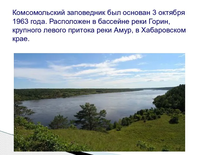 Комсомольский заповедник был основан 3 октября 1963 года. Расположен в бассейне реки