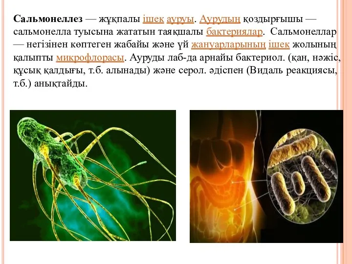 Сальмонеллез — жұқпалы ішек ауруы. Аурудың қоздырғышы — сальмонелла туысына жататын таяқшалы