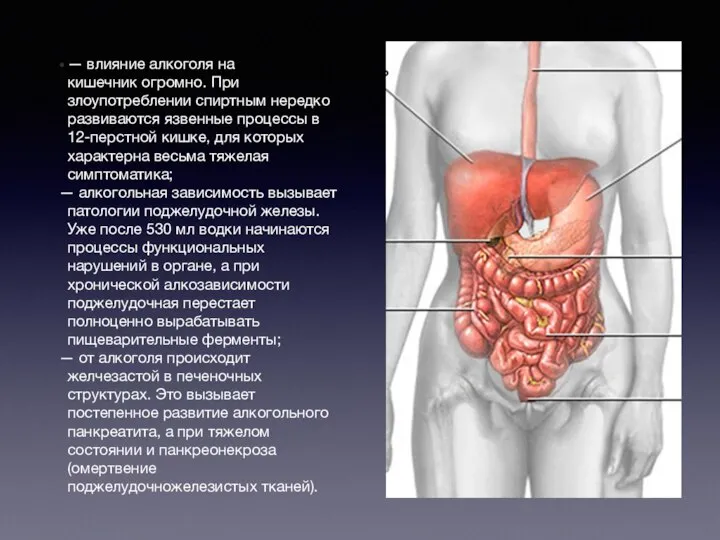 — влияние алкоголя на кишечник огромно. При злоупотреблении спиртным нередко развиваются язвенные