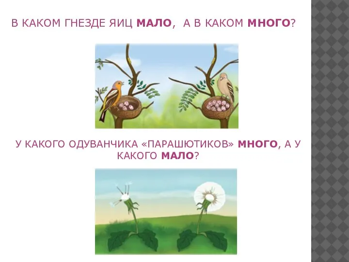 В КАКОМ ГНЕЗДЕ ЯИЦ МАЛО, А В КАКОМ МНОГО? У КАКОГО ОДУВАНЧИКА