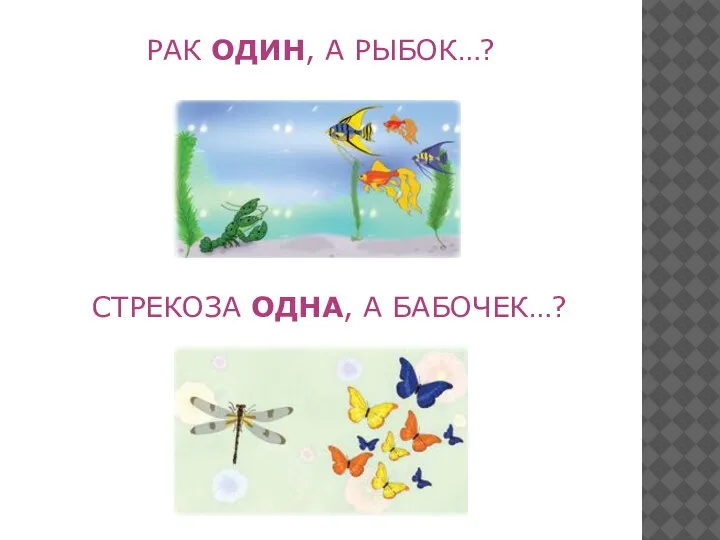 РАК ОДИН, А РЫБОК…? СТРЕКОЗА ОДНА, А БАБОЧЕК…?