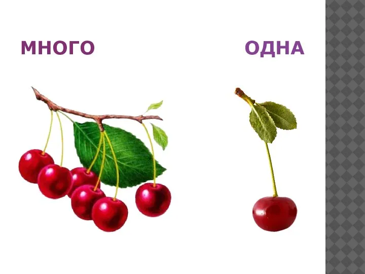 МНОГО ОДНА