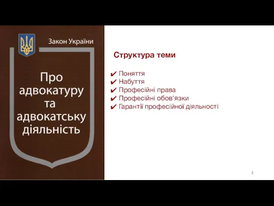 Структура теми Поняття Набуття Професійні права Професійні обов'язки Гарантії професійної діяльності March 9, 2021