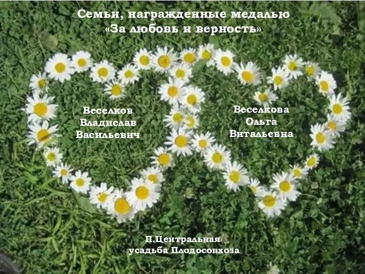 Семьи, награжденные медалью «За любовь и верность» Веселков Владислав Васильевич Веселкова Ольга Витальевна П.Центральная усадьба Плодосовхоза