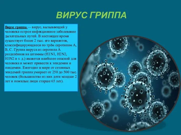 ВИРУС ГРИППА Вирус гриппа — вирус, вызывающий у человека острое инфекционное заболевание