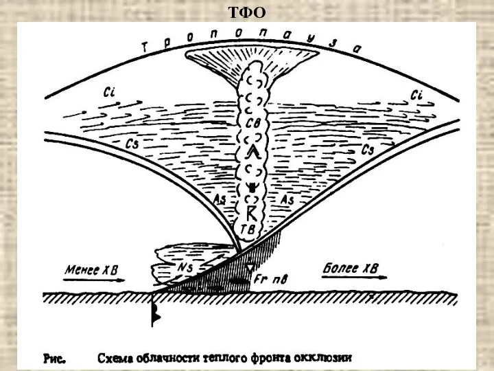 ТФО