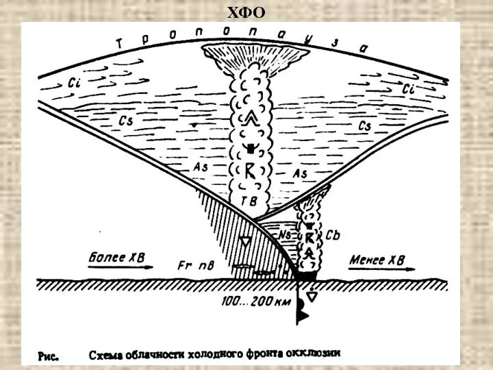 ХФО