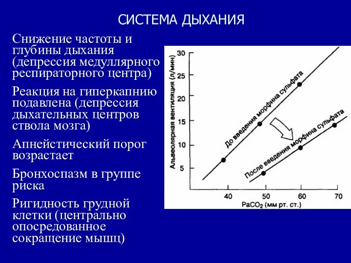 СИСТЕМА ДЫХАНИЯ Снижение частоты и глубины дыхания (депрессия медуллярного респираторного центра) Реакция