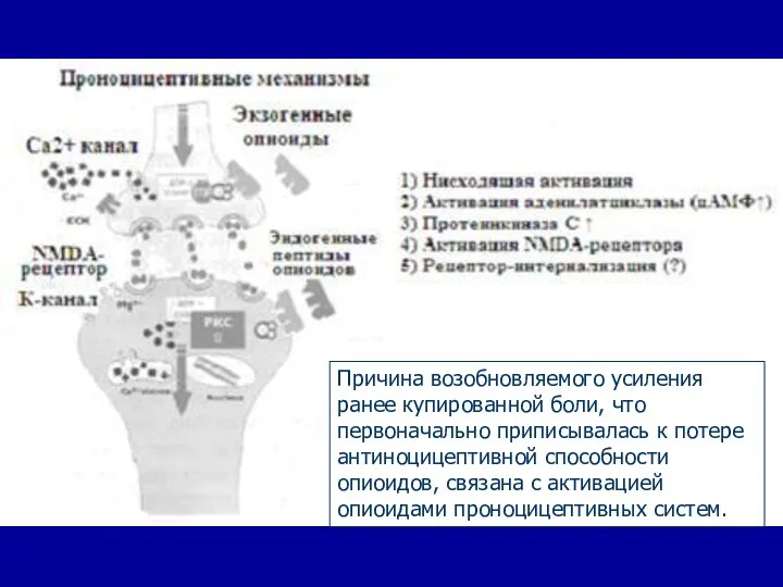 Причина возобновляемого усиления ранее купированной боли, что первоначально приписывалась к потере антиноцицептивной