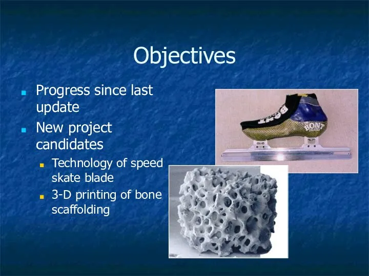 Objectives Progress since last update New project candidates Technology of speed skate
