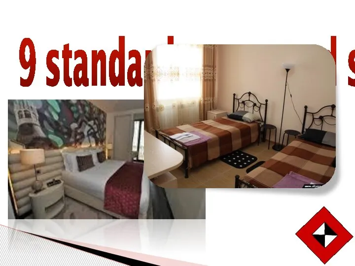9 standard rooms and suites