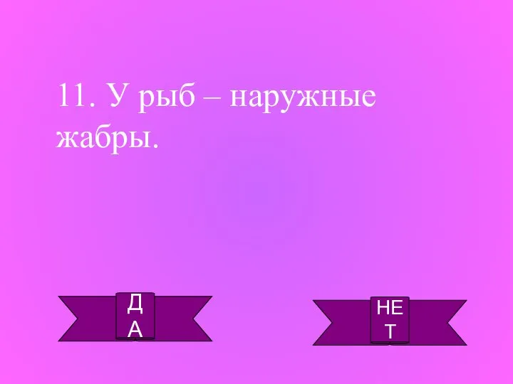 ДА НЕТ 11. У рыб – наружные жабры.