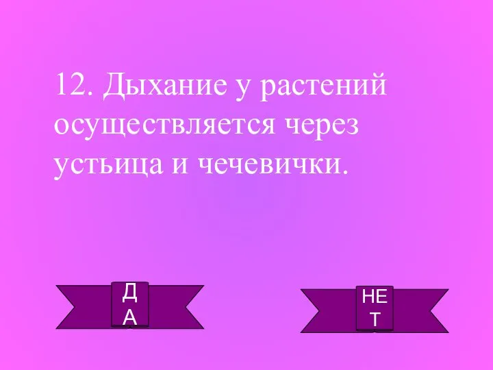 ДА НЕТ 12. Дыхание у растений осуществляется через устьица и чечевички.