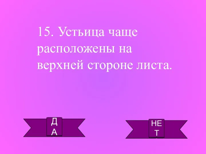 ДА НЕТ 15. Устьица чаще расположены на верхней стороне листа.