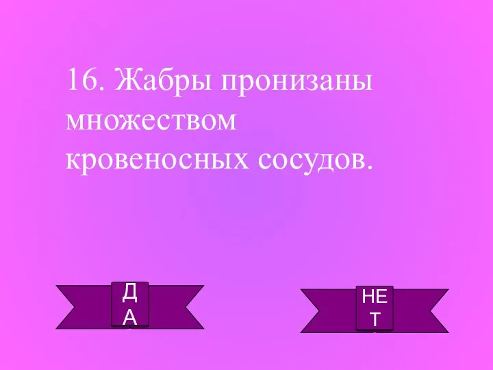 ДА НЕТ 16. Жабры пронизаны множеством кровеносных сосудов.