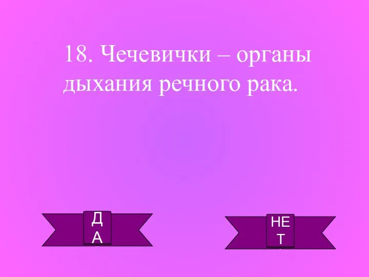 ДА НЕТ 18. Чечевички – органы дыхания речного рака.