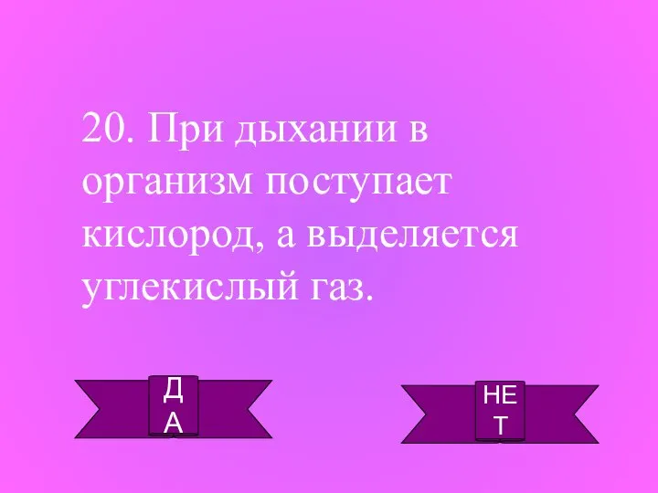 ДА НЕТ 20. При дыхании в организм поступает кислород, а выделяется углекислый газ.